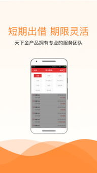 金融中介服務的合法性與風險邊界——以線上信貸平臺為例